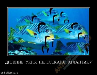 Прикрепленное изображение: 397545_464886200315748_3676221619817400335_n.jpg